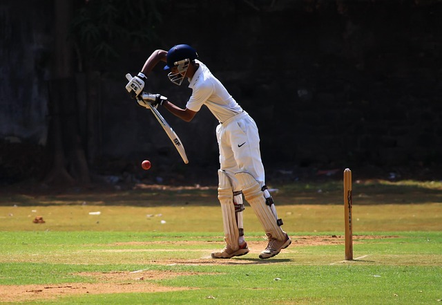 Top 5 Cricket Betting Sites Login India 2027: Tested & Ranked for Indian Players (2027)