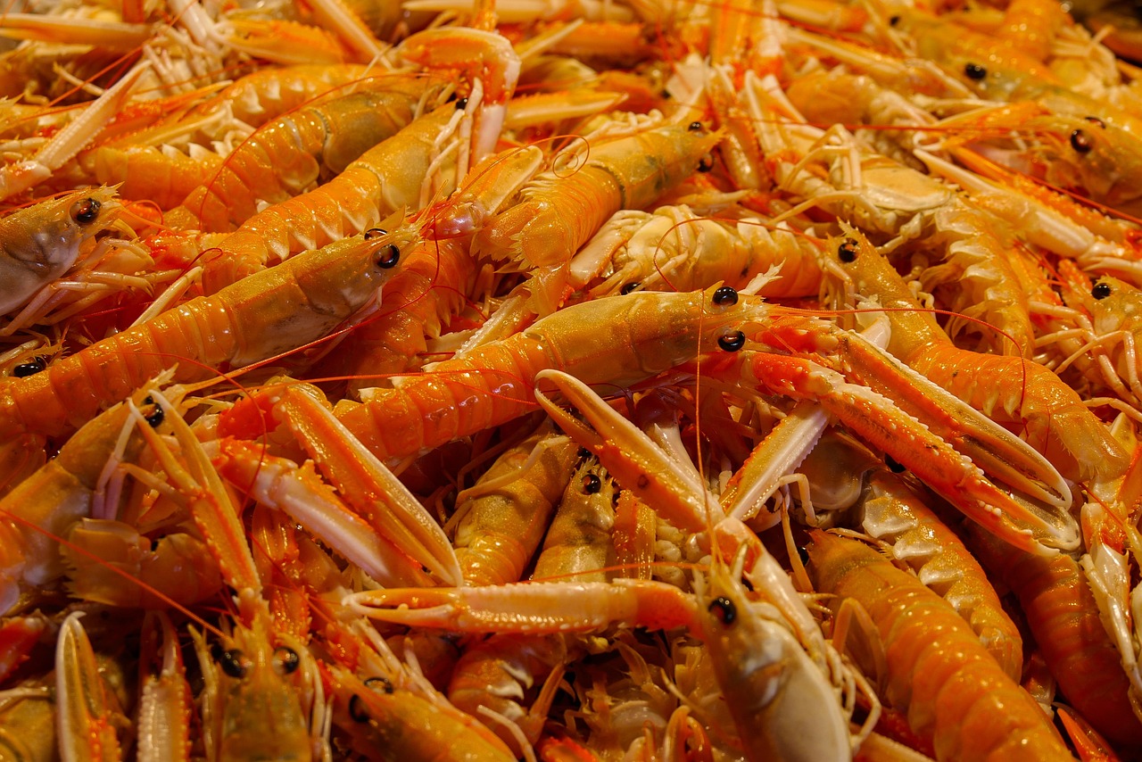 Advanced Fish Shrimp Crab Review 2027: Bonus, App, Withdrawal Tested